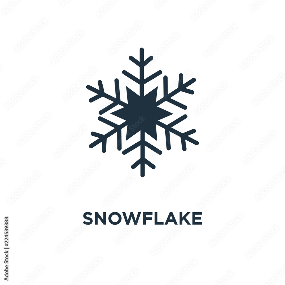 Obraz premium snowflake icon