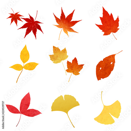 紅葉シーズン１