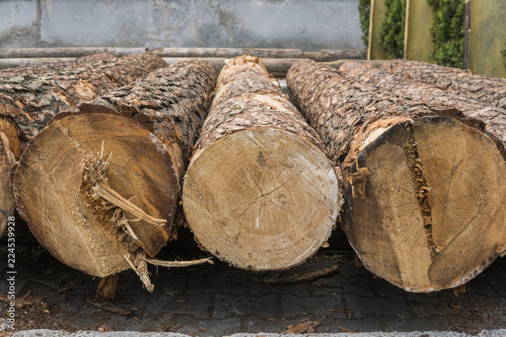 A pile of logs lie on a forest platform, a sawmill. Processing of timber at the sawmill. A pile of logs lie on a forest platform, a sawmill. Processing of timber at the sawmill.