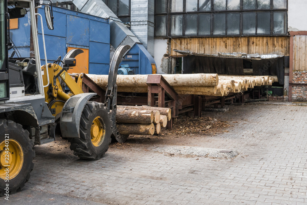 Forklift truck grabs wood in a wood processing plant. Large log loader unloading a log truck in the log yard at a conifer log mill. Processing of timber at the sawmill. Forklift truck grabs wood in a wood processing plant. Large log loader unloading a log truck in the log yard at a conifer log mill. Processing of timber at the sawmill.