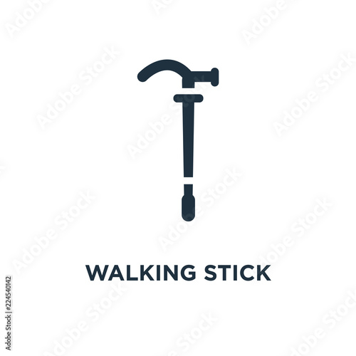 walking stick icon
