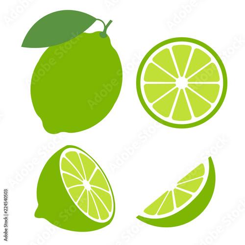 Lime with green leaves isolated on white background. Raw vegetarian food. Lime whole, half and slice vector illustration. Green citrus set icons