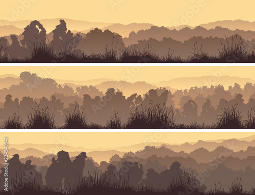 Horizontal banners of deciduous forest. photo