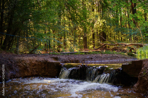 Fototapeta Naklejka Na Ścianę i Meble -  Water stream in forest with small waterfall, dead tree branches