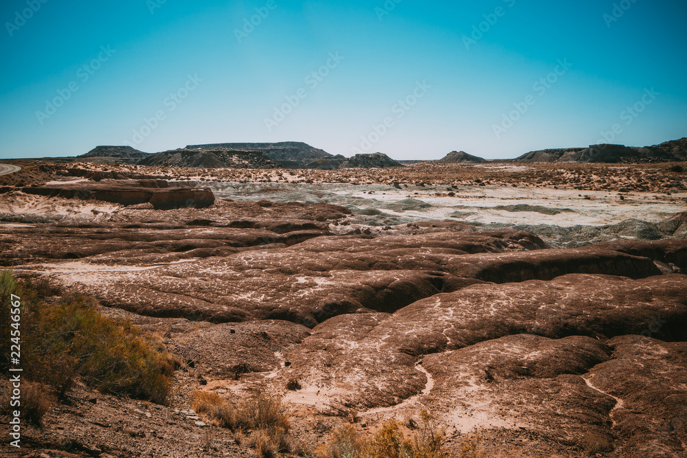 Obraz premium Prehistoric rock formations in Arizona's Petrified Forest National Park and Painted Desert