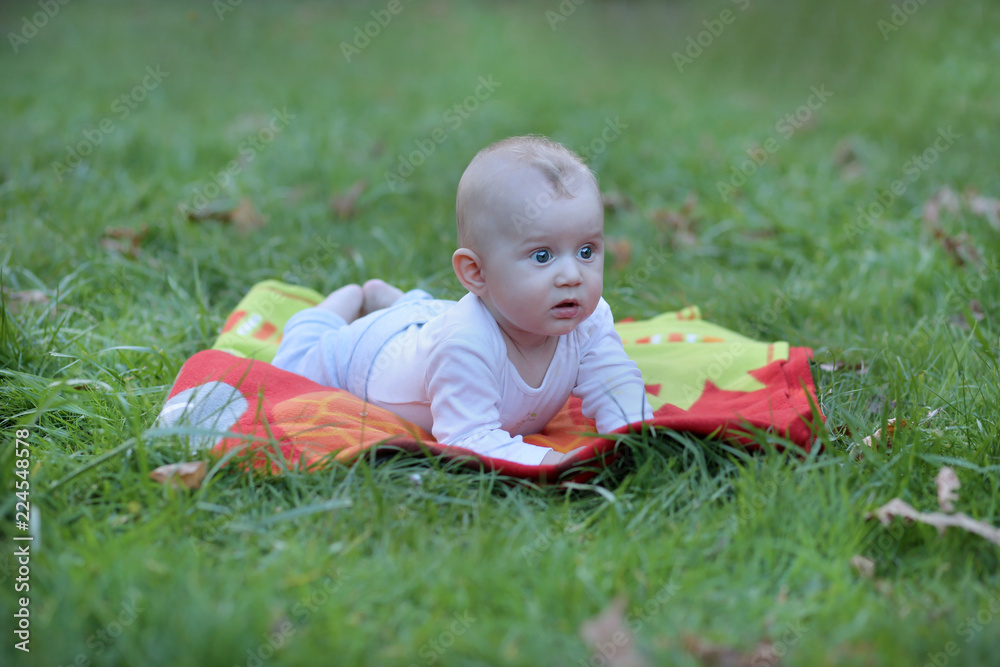 Bébé garçon blond aux yeux bleus découvre la nature Stock Photo | Adobe  Stock