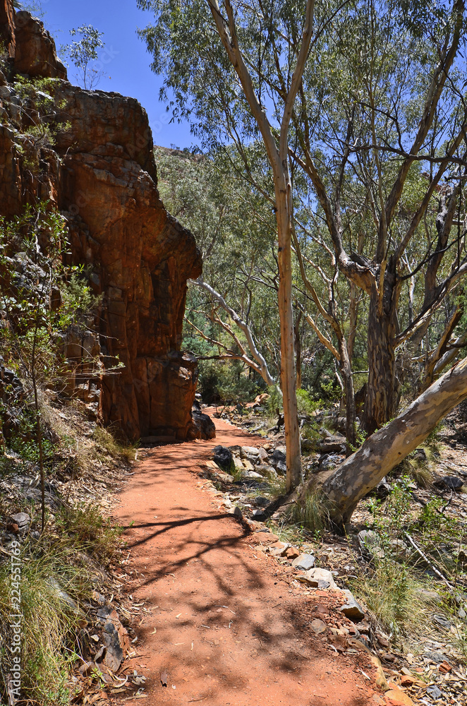 Australia, Northern Territory, McDonnell Range