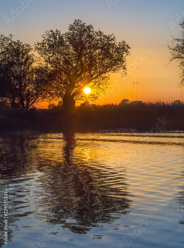 Trees on a background of sunset. Reflection in the water of a river. Background with wood and water.