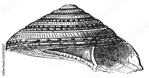 Solarium Perpectivum, vintage illustration.