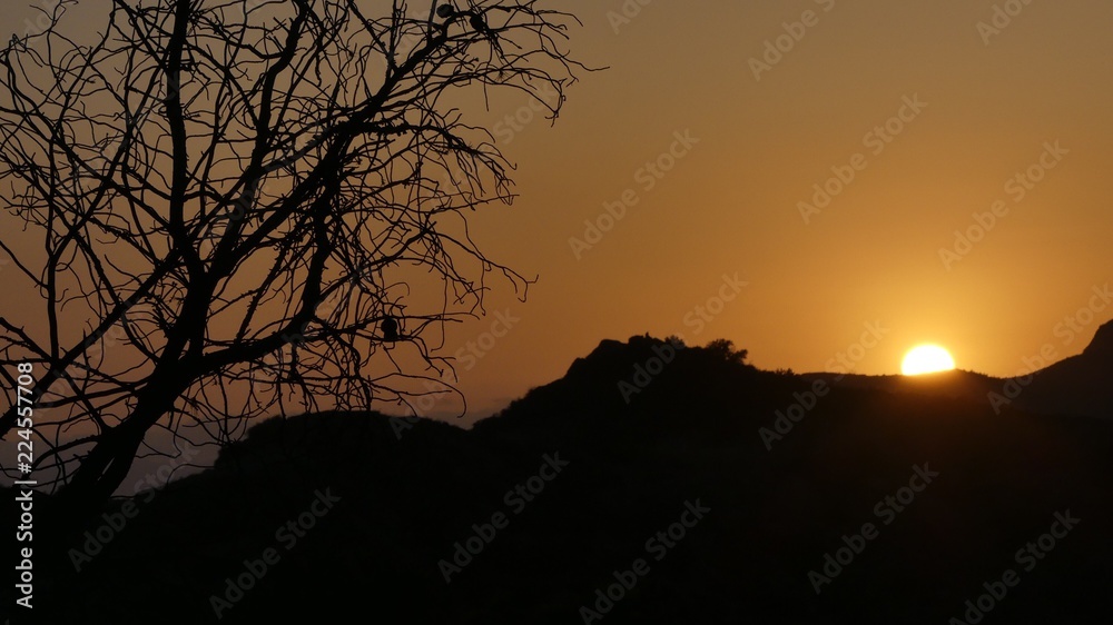 silhouette of tree and mountain at sunset silhouette of tree and mountain at sunset