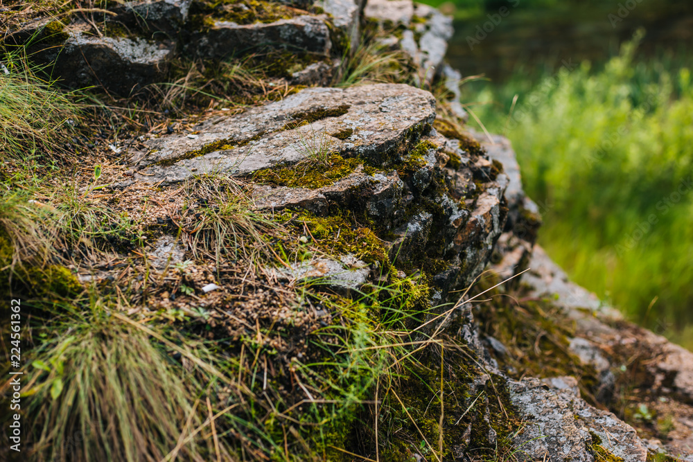 Stone with moss. Rock in the forest. Texture Stone with moss. Rock in the forest. Texture