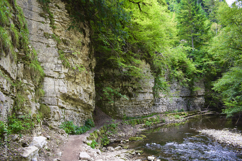 Fluss im Schwarzwald