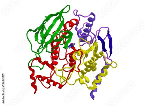 Molecular structure of Acetylcholinesterase, 3D rendering