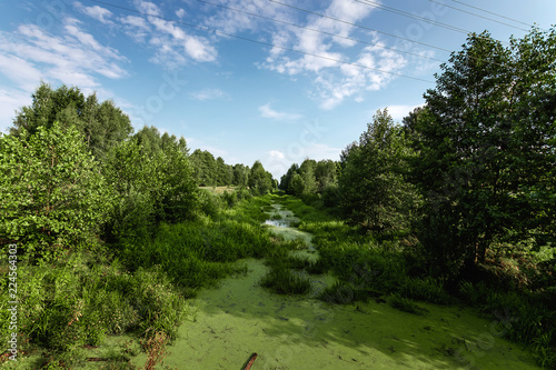 The picture was taken in June.The picture shows a river whose water is covered with duckweed and mud. © Aliaksandr Marko