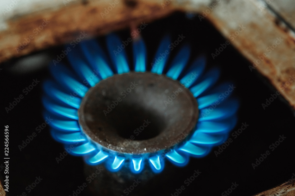 Gas stove, lit a blue flame burner Gas stove, lit a blue flame burner