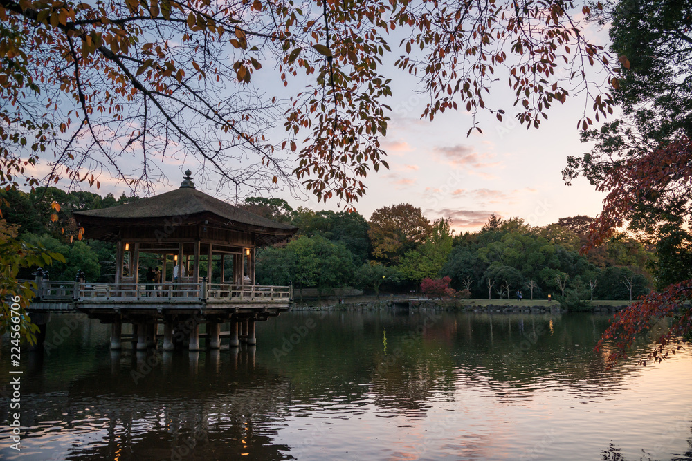 奈良公園　秋　紅葉