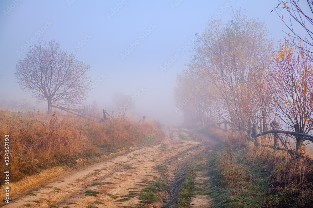 Foggy road in autumn forest