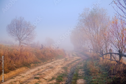 Foggy road in autumn forest