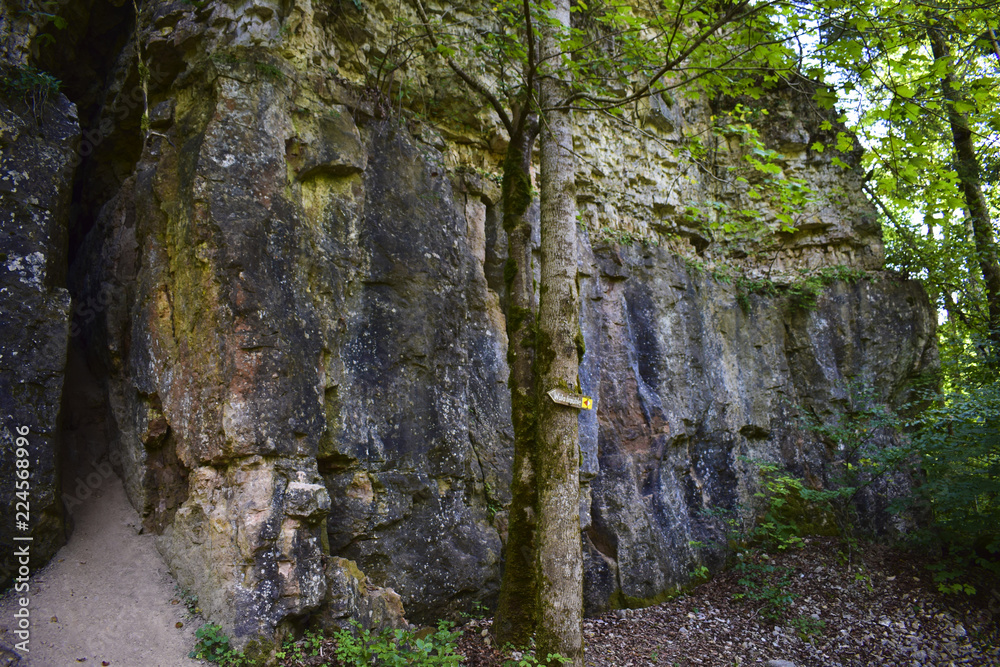 Fluss im Schwarzwald