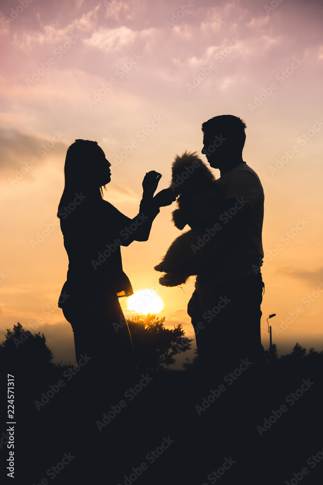  the silhouette of a couple with their shihtzu dog in a sunset