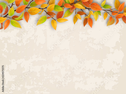 Tree branch with green foliage on old plastered wall background.