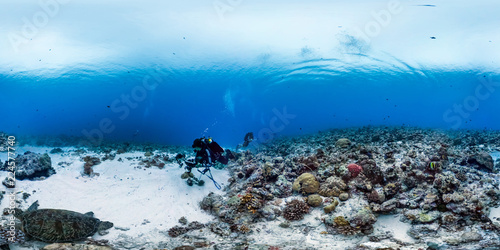 Scientist in palau