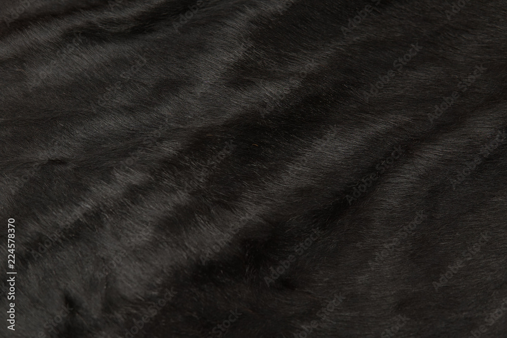 Highly detailed background texture of black fur made of synthetic animal  long hair. Stock Photo