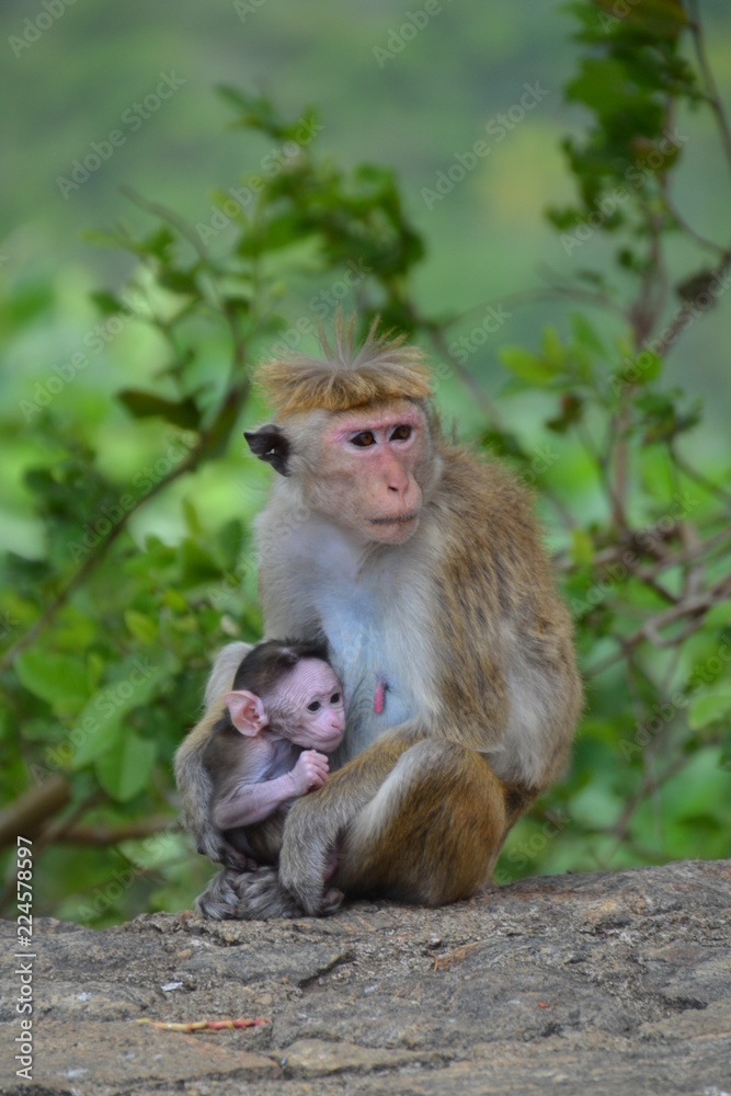 famille