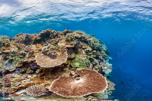 Fototapeta Naklejka Na Ścianę i Meble -  Great detached reef in australia