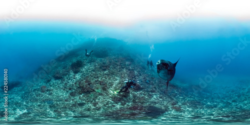 Sunfish with Divers photo