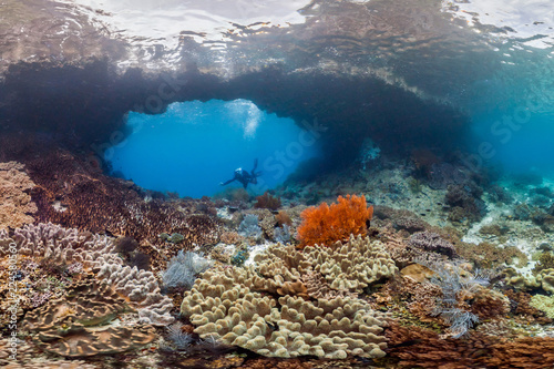 Coral reef in Raja Ampat