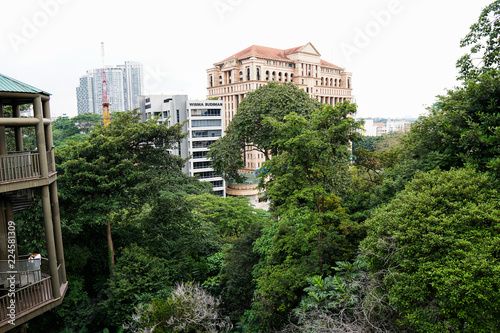 Canvas Print Bridge through forest reserve in the middle of City of Kuala Lumpur, Malaysia
