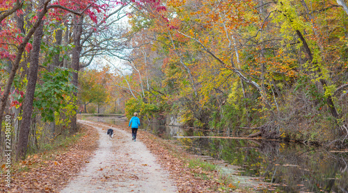 Fall Colors C&O Canal Washington