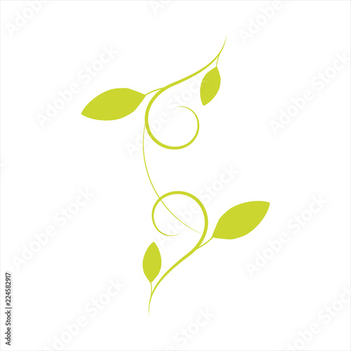 Floral element design