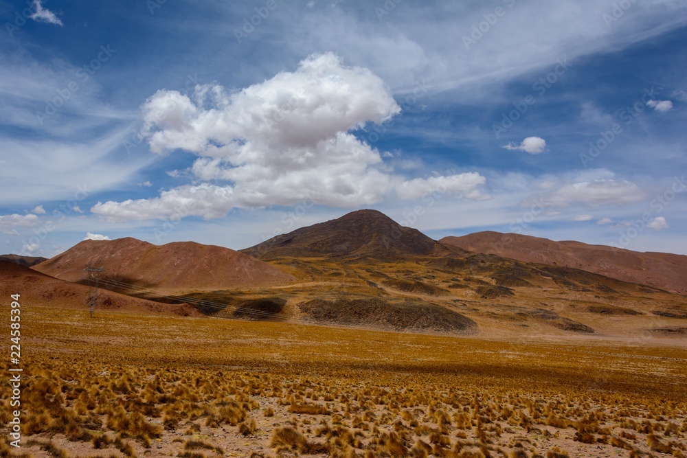 Obraz premium Road to Salta. Puna. Argentina