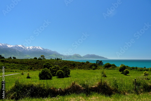 Kaikoura in south island New Zealand.