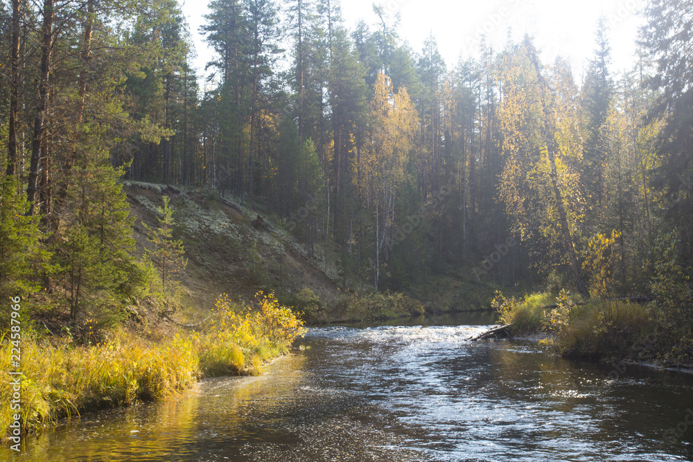 Fototapeta premium Beautiful autumn landscape