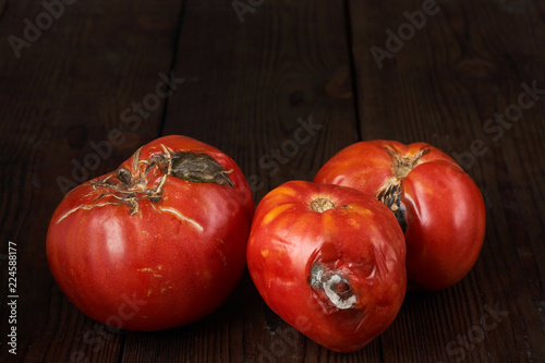 Spoiled three tomatoes on a dark wooden background.