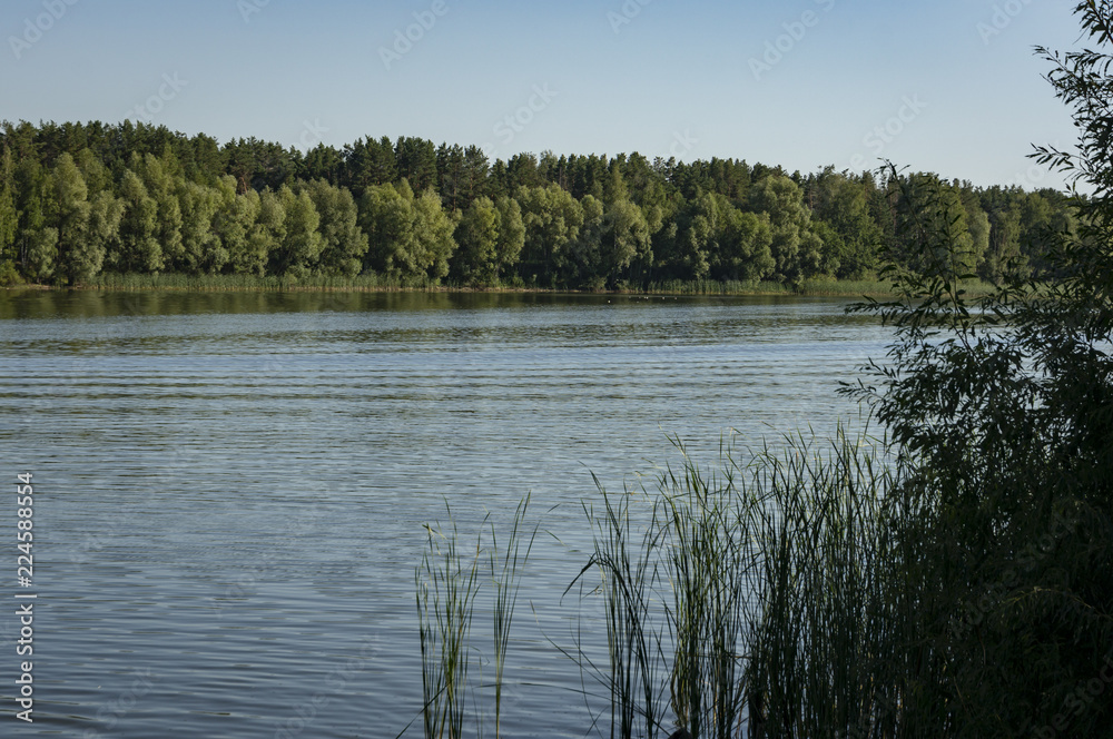 Fototapeta premium The river flows along the forested coasts. The Bay of the Volga River near the city of Ulyanovsk. Nature concept for design.