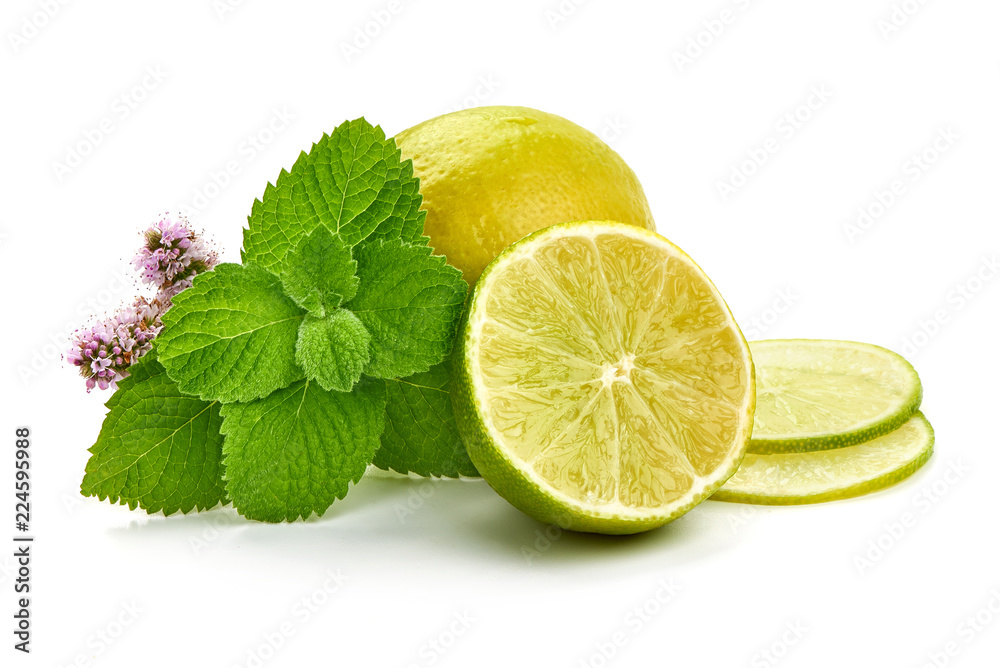 Fresh raw mint leaves with juicy lemon slice, isolated on white background. Close-up.