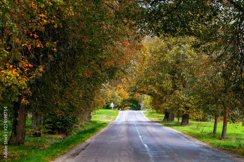 Autumn Landscape. Lonely rural road with deciduous alleys.