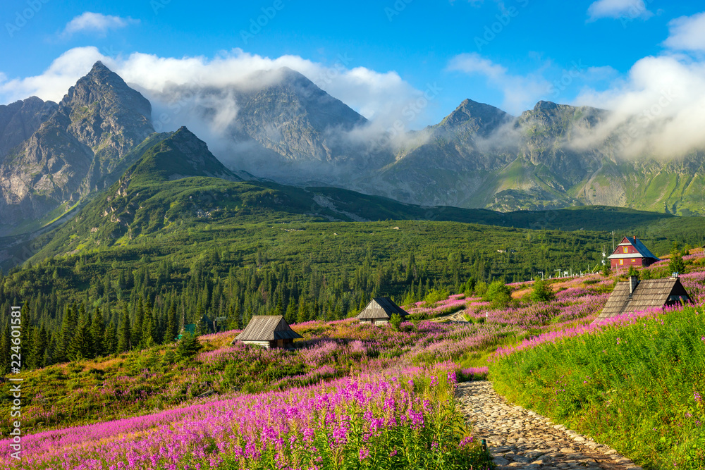 Tatra mountain landscape
