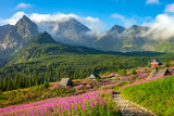 Tatra mountain landscape