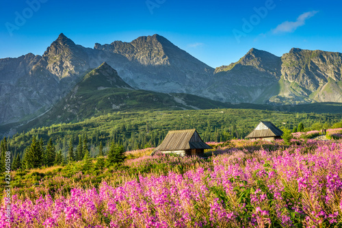 Tatra Mountain landscape