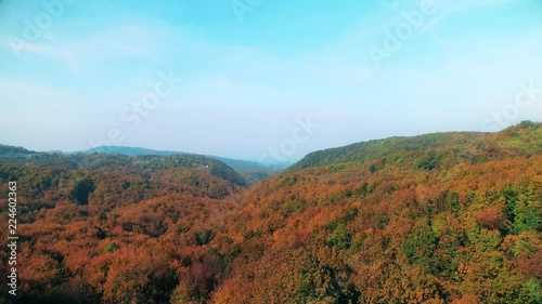 Aerial view of a forest in autumn photo