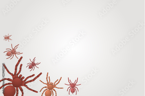 small and large spiders tarantulas on a white background