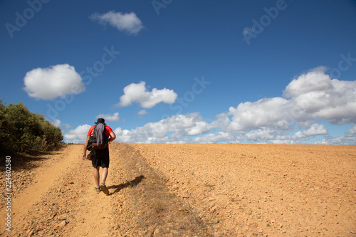 Camino de Santiago  Spain  - A pilgrim walking along the way of St.James  in the spanish meseta