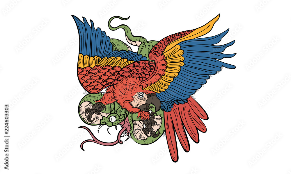 Fototapeta premium Parrot and Snake
