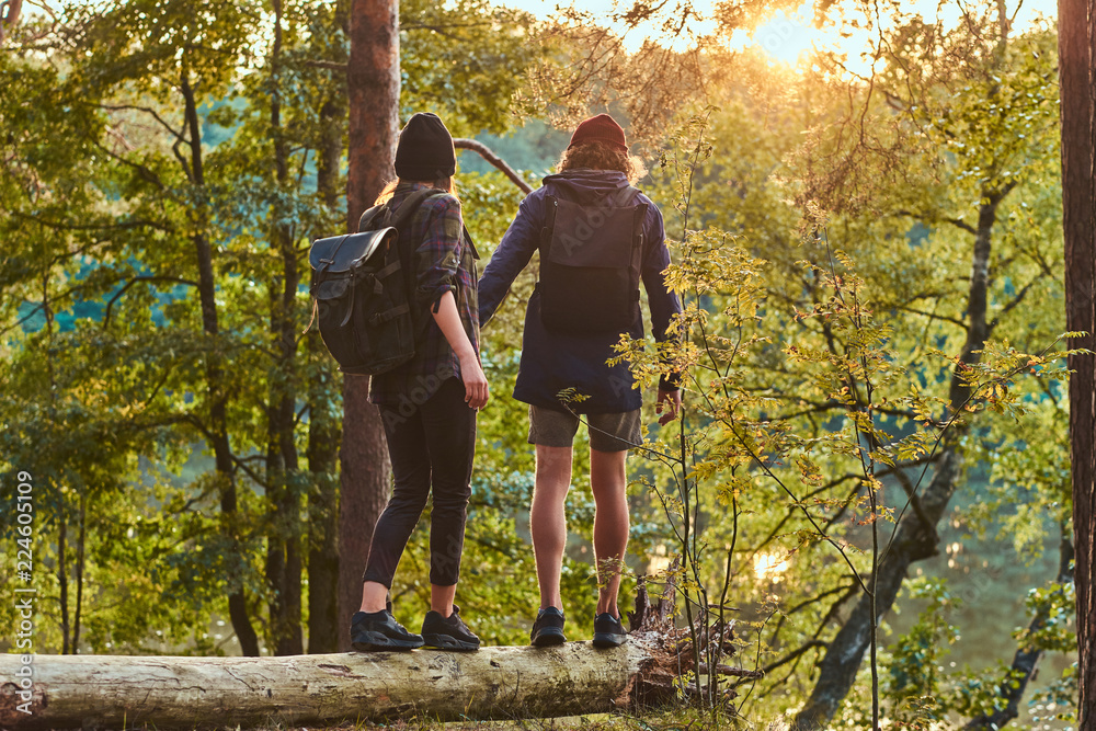 Young hipster couple holding hands standing on a tree trunk in a beautiful forest at sunset. Travel, tourism, and hike concept.