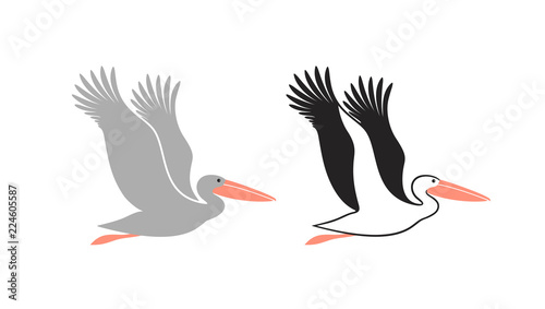 Pelican set. Isolated pelican on white background